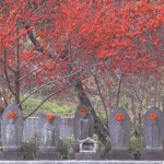 江音寺の地蔵