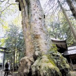 諏訪大社上社本宮