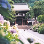 正願寺の参道