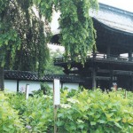 正願寺の山門