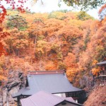 阿弥陀寺と裏山