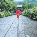 正願寺の参道