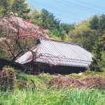 板沢の民家