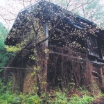 廃村の風景