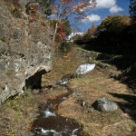 大見山林道から 蓼の海