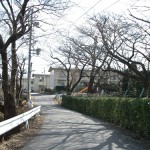 桜ヶ丘