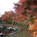 紅葉(岡谷市)