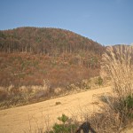 奥蓼科の荒地(茅野市)