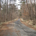 別荘地内道路 (富士見町)